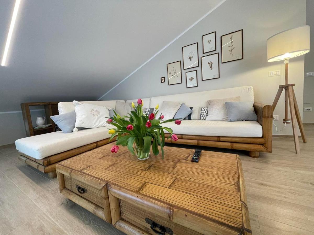 Otium Rooms / Camere e Appartamenti Morrovalle Exterior foto